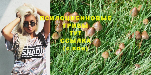 молекула духа Алексин