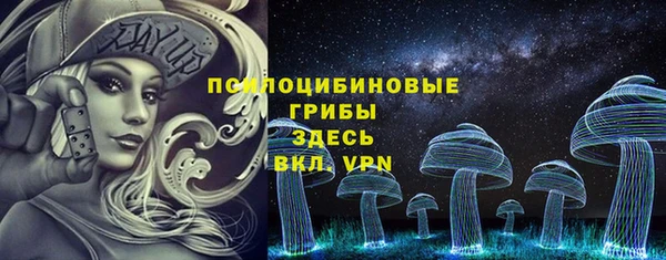 молекула духа Алексин