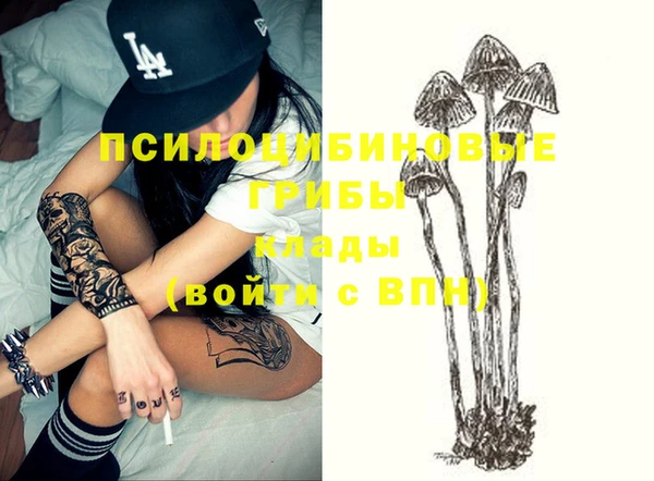 прущий лед Алексеевка