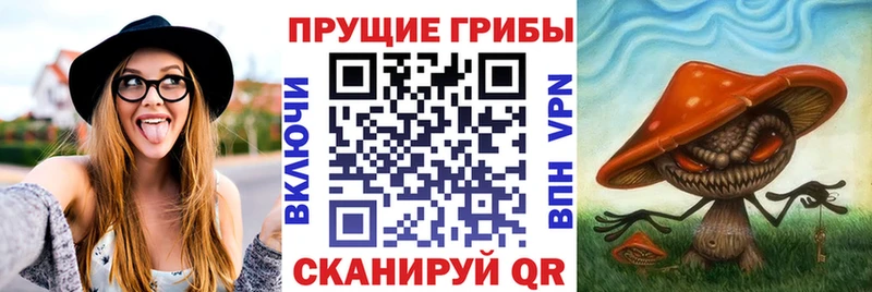 Галлюциногенные грибы Magic Shrooms  даркнет сайт  MEGA онион  Спасск-Рязанский 