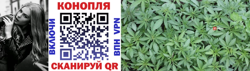 Каннабис Amnesia Спасск-Рязанский